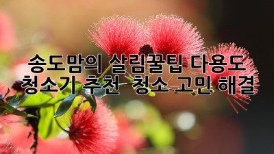 송도맘의 ✨살림꿀팁✨ 다용도 청소기 추천 & 청소 고민 해결! 🏡
