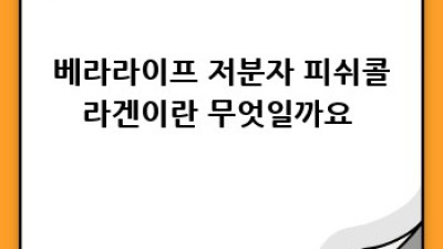 베라라이프 다이어트 저분자 피쉬콜라겐 후기